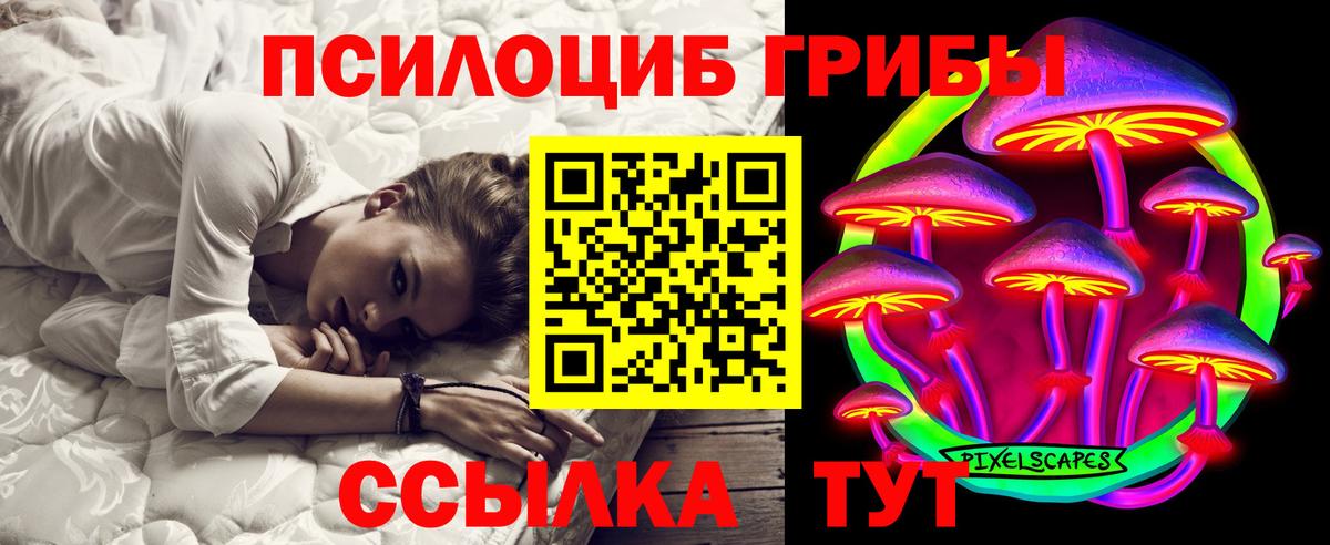 Галлюциногенные грибы Psilocybe Жигулёвск
