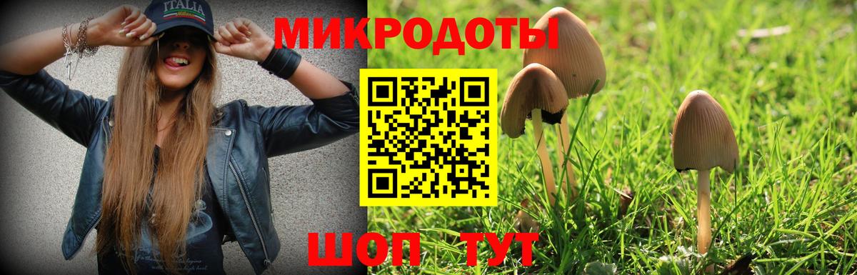 Псилоцибиновые грибы GOLDEN TEACHER  Вход с VPN  Жигулёвск  Галлюциногенные грибы мухоморы 